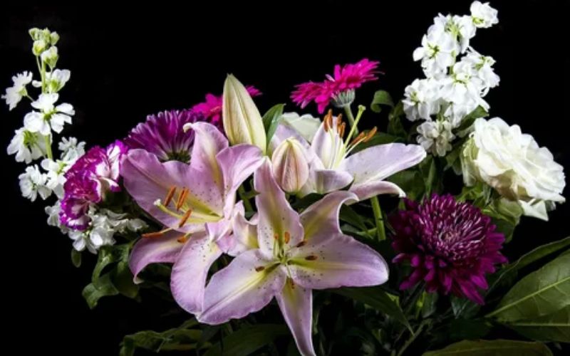  chrysanthemums, and carnations, lilies