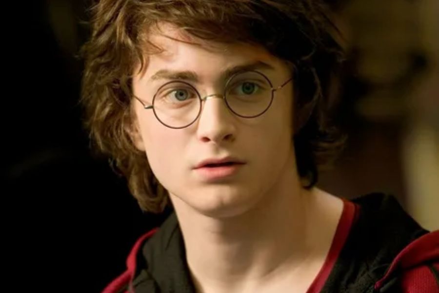 Harry Potter Character