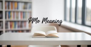 pmo-meaning-and-what-it-stands