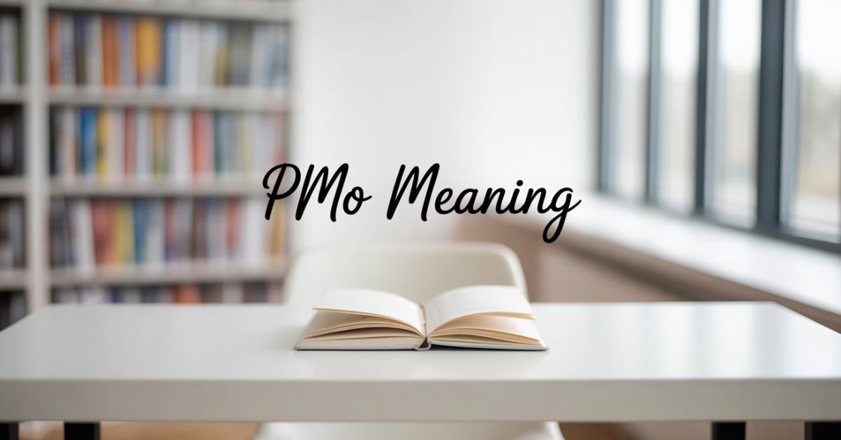 pmo-meaning-and-what-it-stands
