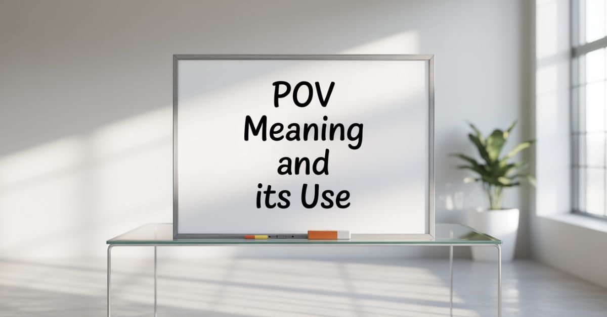 pov-meaning-and-how-to-use-it
