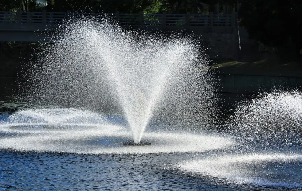 Complete Guide to Ordering Pond Fountains What You Need to Know Before You Buy