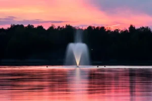 Complete Guide to Ordering Pond Fountains What You Need to Know Before You Buy