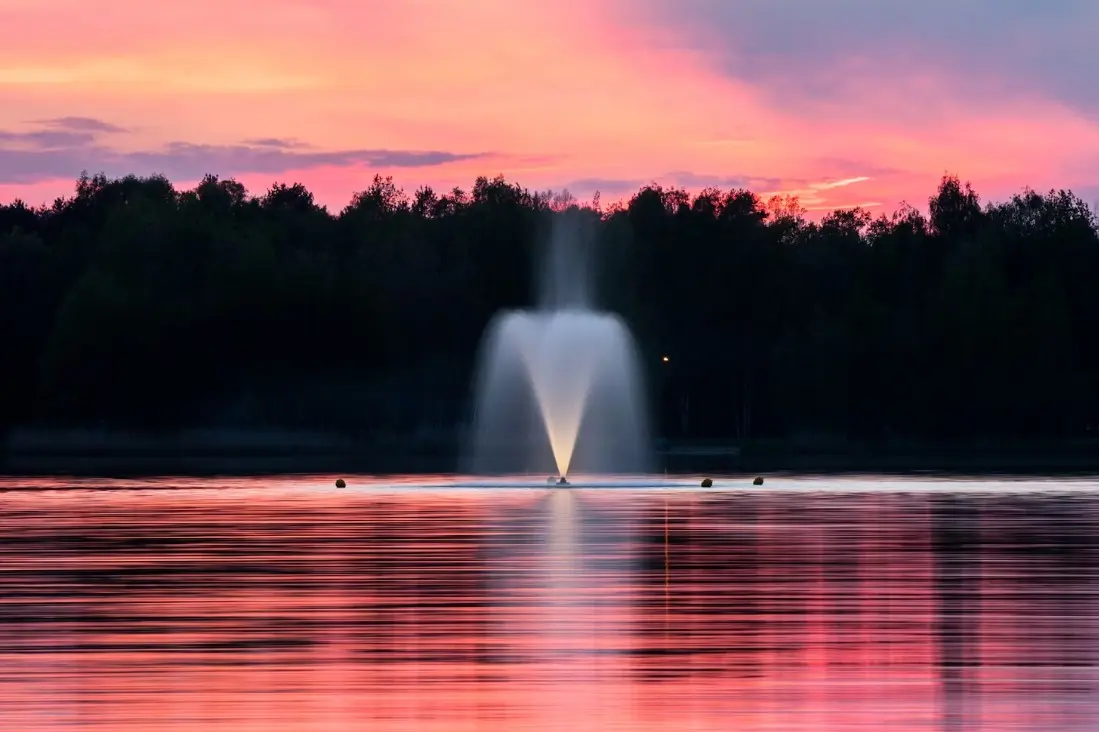 Complete Guide to Ordering Pond Fountains What You Need to Know Before You Buy