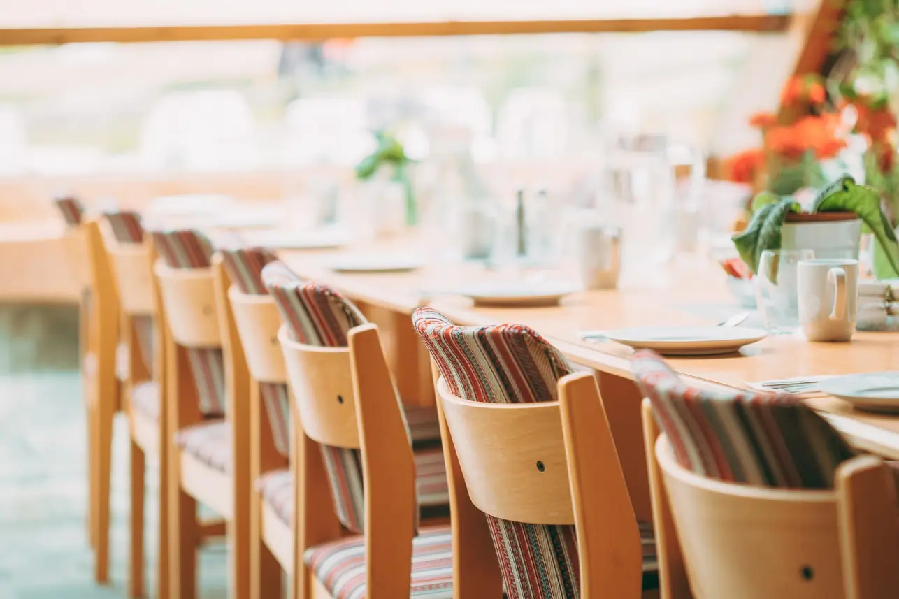 Elegant Dining Chairs for Everyday Living: Comfort Meets Style