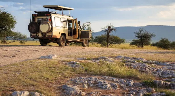 How to See the Great Migration in Tanzania Safaris