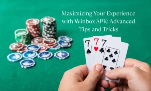 Maximizing Your Experience with Winbox APK Advanced Tips and Tricks