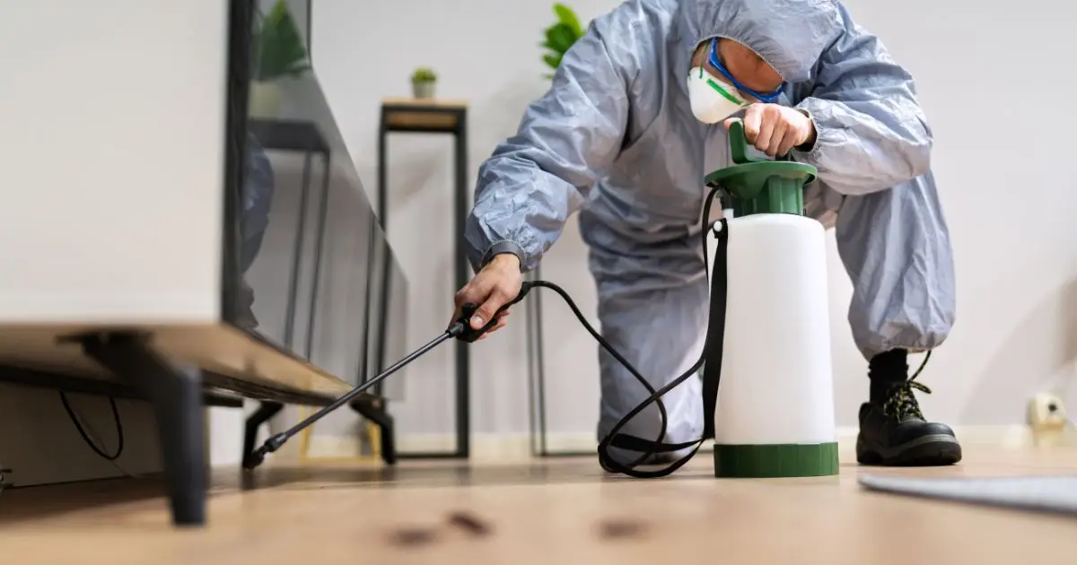 Regular Pest Inspections Essential for Early Detection and Prevention
