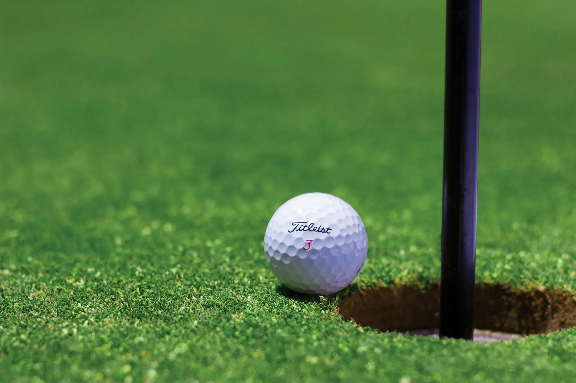 Underdogs on the Green Long Shots Who Could Surprise in the PGA