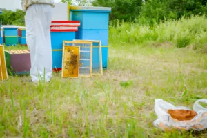 How Extradition Works Across Borders