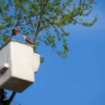 What Land Clearing Includes and Why It Matters Before Building