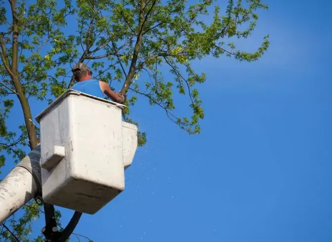 What Land Clearing Includes and Why It Matters Before Building