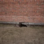 How to Identify and Fix Foundation Leak Repair Before It Causes Serious Damage