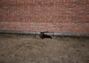How to Identify and Fix Foundation Leak Repair Before It Causes Serious Damage